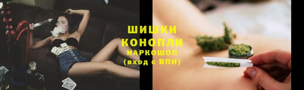 mdpv Каменск-Шахтинский