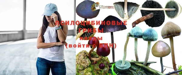 бошки Каменногорск