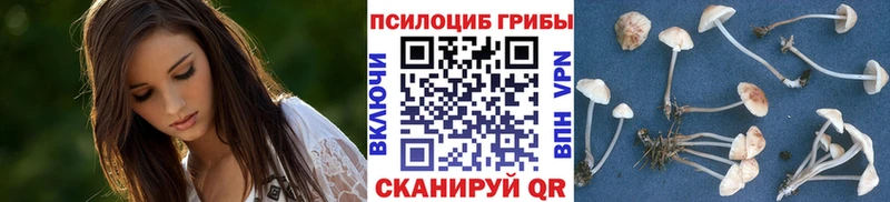 Псилоцибиновые грибы Magic Shrooms  Купить  Вологда 